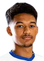 Bertin Jacquesson logo