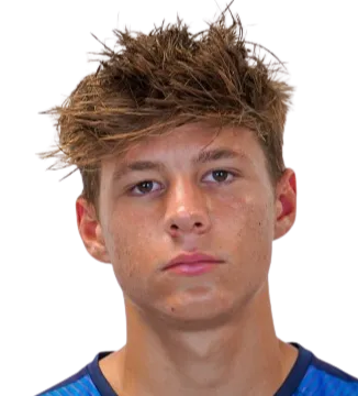 nighte pickering logo