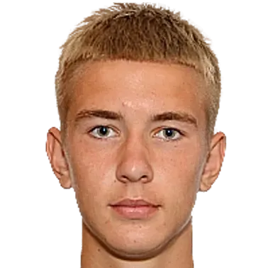 dmirtiy pestryakov logo