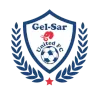 Gelsar FC logo