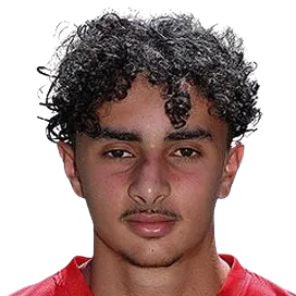 Djairo Tehubyuluw logo