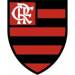 CR Flamengo (RJ)  Youth logo
