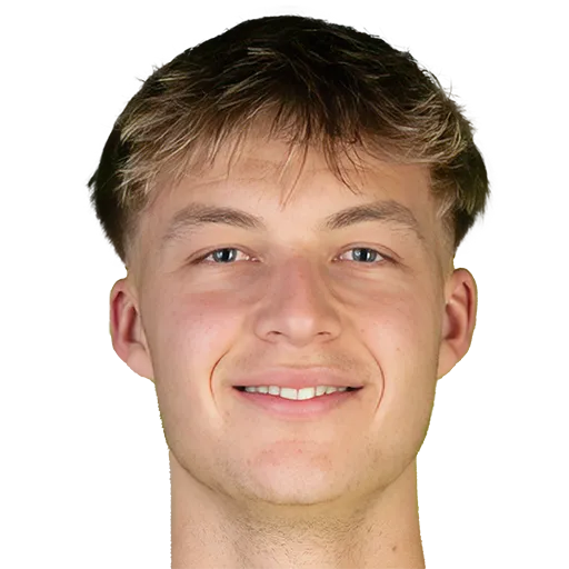 Villads Nielsen logo