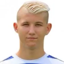 Darius-Dacian·Ghindovean logo