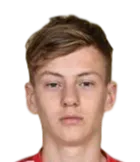 Dino Halilović logo