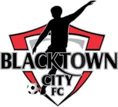 Blacktown City Demons logo