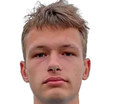 vladimir zabavin logo