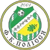 Polissya Zhytomyr U19 logo