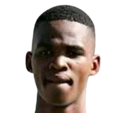 Tebogo Kopelang logo