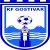 FK Rinija Gostivar logo