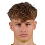 Stefan blazevic logo