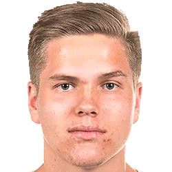 Niilo Mäenpää logo