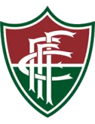 Fluminense U19 logo