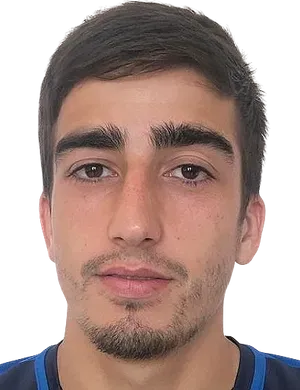 Kamil Ibragimov logo