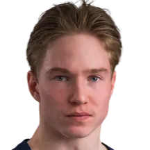 Santtu Seppanen logo