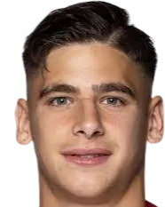 Nemanja·Motika logo