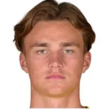 Fernando Dickes logo