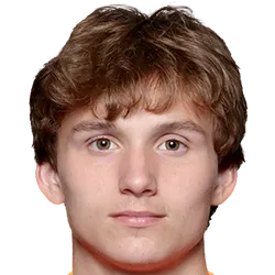 Rav van den Berg logo