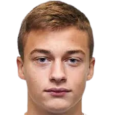 Mihajlo Spasojevic logo