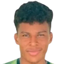 Dany Josue Coronel Ocampo logo