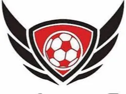 Philly Fever Women logo