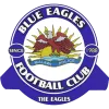Blue Eagles logo