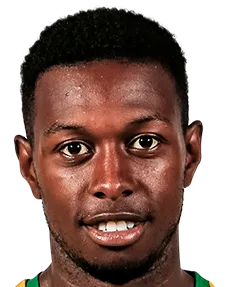 allierio belfor logo