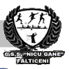 CN Nicu Gane Women logo