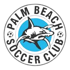 Palm Beach Sharks(w) logo