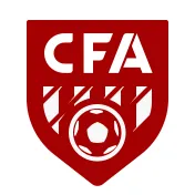 Shenyang Xinye Football Club U15 logo