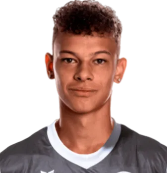 Filip Stojiljković logo