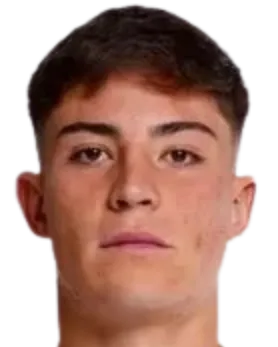 Nicolás Tomás Garrido Aparicio logo