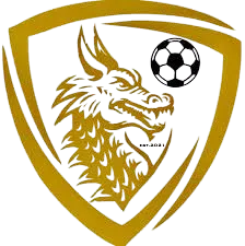 Draco FC logo