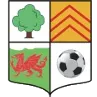 AFC Llwydcoed logo