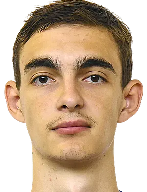 Dmitri Mikhaylenko logo