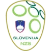 Slovenia U20 logo