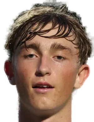 Dean Donny Huijsen logo