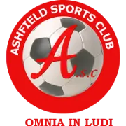 Ashfield SC Reserves logo