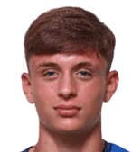 Federico Steffanoni logo