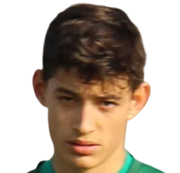 Matteo carnelos logo