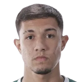 Vitor Hugo Da Silva Goncalves logo