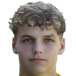 Tim van der Leij logo