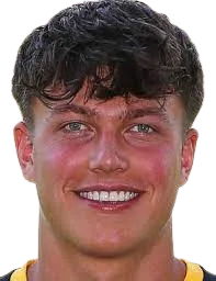 Patrick Fabian Scheder logo