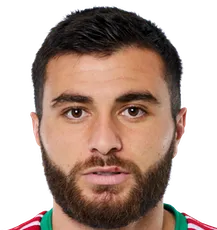 Levan Shengelia logo