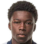 Stefen Tchamche logo