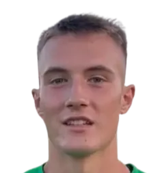 Branislav Knezevic logo