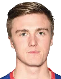 Christian Dahle Borchgrevink logo