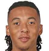 Romoney Crichlow-Noble logo