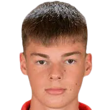 Dominik László Kovács logo