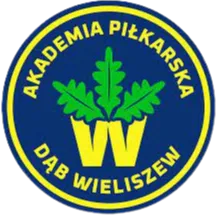 Dab Wieliszew logo